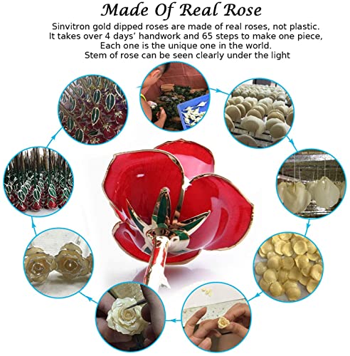 Sinvitron Gold Dipped Infinity Rose - Eternal Resin-Preserved Rose | Forever Flower Decor for Birthdays, Mother’s Day, Anniversaries | Unique Gift for Women, Mom, Wife (Red) - Image 7