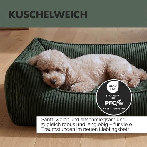 PAW WOW Anton Hundebett | Orthopädisches Hundebett | Hundekörbchen für kleine und mittelgroße Hunde (Olive, 85x65cm)