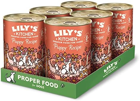 Lily's Kitchen Puppy Recipe with Chicken Wet Dog Food, 6 x 400g