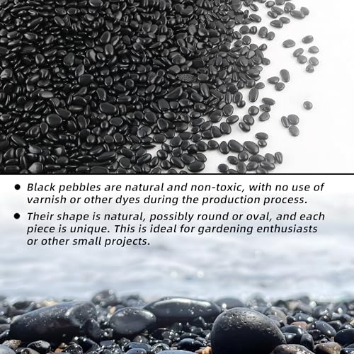 Image of 18lb 1 /4 inch Small Pebbles Black for Plants,Potting,Succulents Aquarium Fish Tank Vases Decorative Garden Polished Gravel Rocks Stones