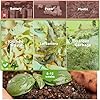 Outsunny Tumbling Compost Bin Outdoor 360 Dual Chamber Rotating Composter 43 Gallon, Light Gray