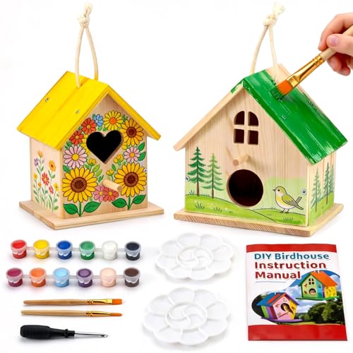 AluAbi 2 Pack DIY Bird House Kit Thickened Wooden Birdhouse Crafts for Kids with Paints Brushes Screwdriver DIY Arts and Crafts for Children DIY Birdhouse Set for Halloween Christmas Birthday
