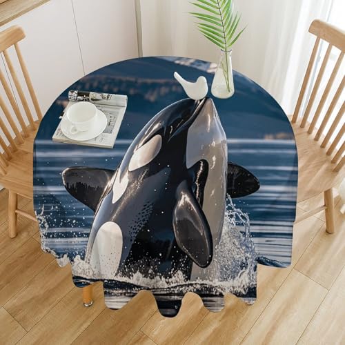 Nappe ronde en polyester lavable 177cm décoration table Halloween - 4