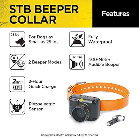 beeper dogtra