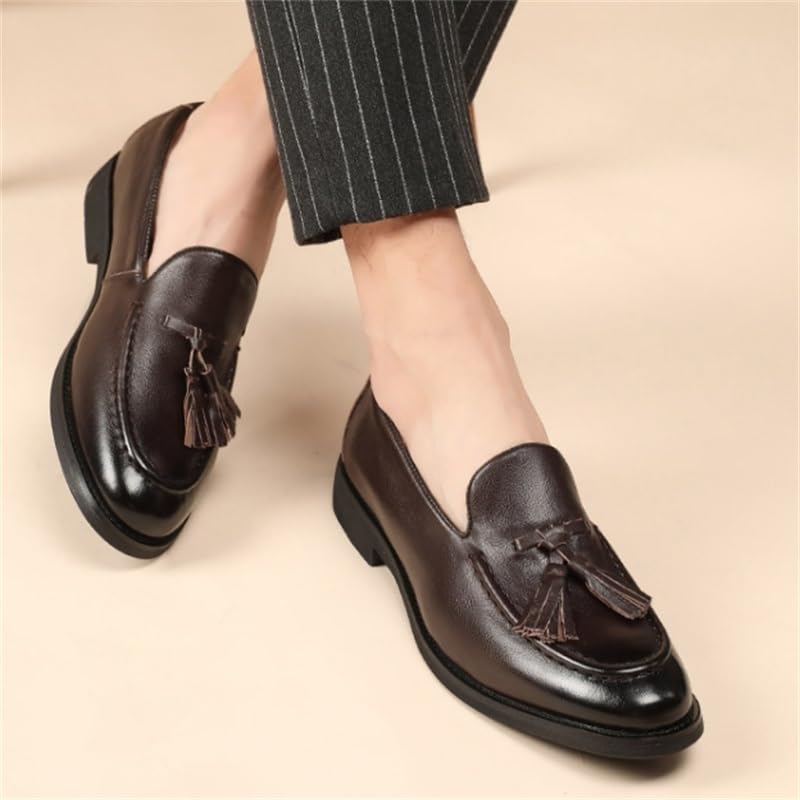 Men's Tassel Loafers Casual Business Leather Shoes Pointed Toe Slip-on Office Dress Shoes(D,10)4