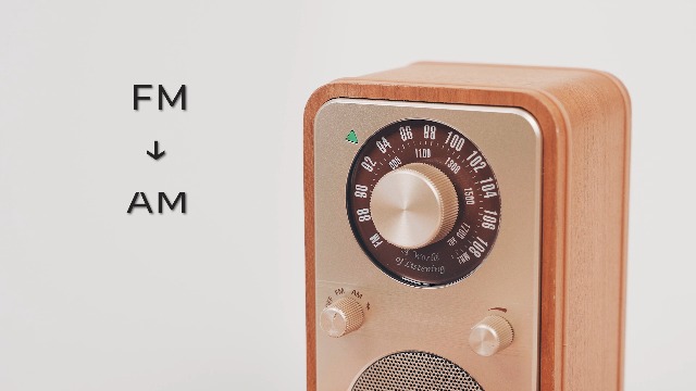 Amazon.com: SANGEAN WR-9 Vintage-Style AM/FM Radio with Bluetooth