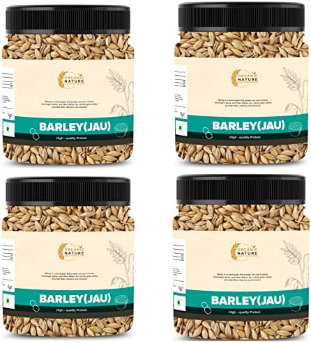 Organic Nature Raw Barley Seeds (Jau) Barley Grain (1 Kg (Pack of 4 of 250 Grams))