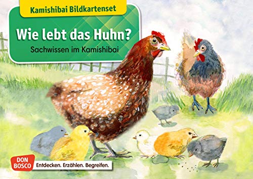 Télécharger Wie lebt das Huhn? Kamishibai Bildkartenset.: Entdecken - Erzählen - Begreifen: Sachwissen. livre En ligne