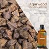 Agarwood Essential Oil 100 ml, ESSLUX Large Single Scented Oils 3.3 oz, Aromatherapy Oils for Diffuser, Massage, Soap, Candle Making, Perfume