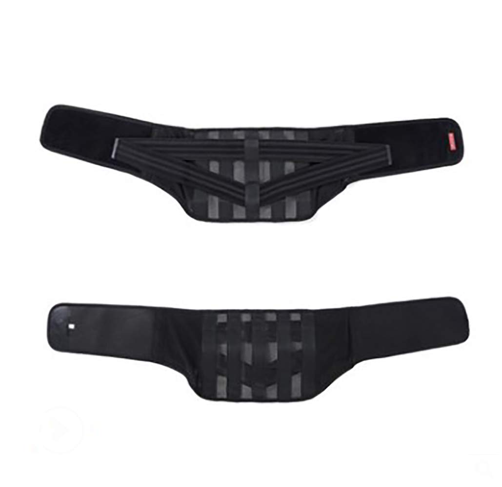 NA Comfymed Premium Quality Back Brace with Removable Lumbar Pad for Lower Back Pain Relief-Durable Medical Grade-Support Belt