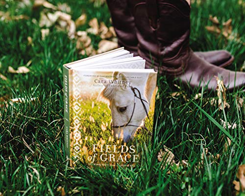 Fields of Grace: Sharing Faith from the Horse Farm - Image 7
