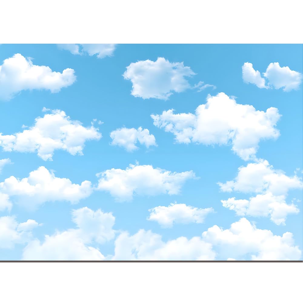 Qian 7x5ft Blue Sky White Clouds Backdrop Natural Scenery Sunshine Sky Clouds Photography Backdrop Wedding Birthday Party Decoration Newborn Baby Shower Backdrop