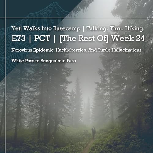 E73 | PCT | [The Rest Of] Week 24 | Norovirus Epidemic, Huckleberries, And Turtle Hallucinations | White Pass to Snoqualmie Pass