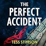 Cover of The Perfect Accident