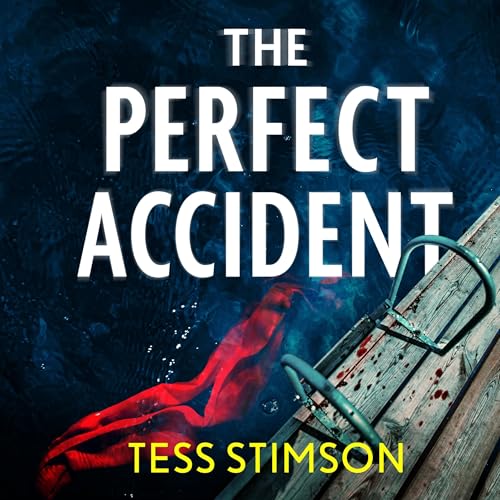 Couverture de The Perfect Accident