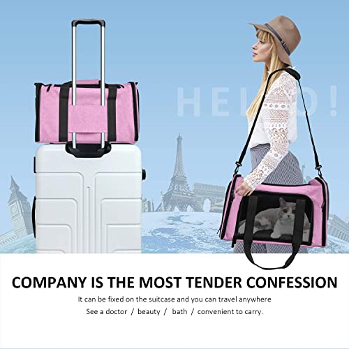 Image of PETANGEL Cat and Small Dog Carrier Bag, 50cm Large Cat Carrier Soft Sided Carrier, Folding Dog Carrier(Pink, L+: 50cm x 34cm x 34cm)