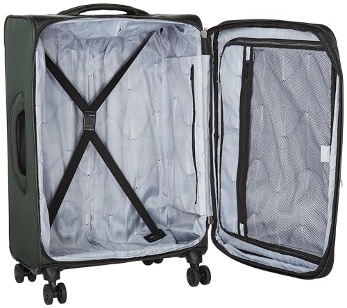 Image of DELSEY PARIS Sky Max 2.0 Softside Expandable Luggage with Spinner Wheels, Green, Checked-Large, 28 Inch