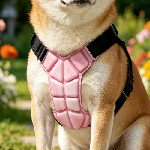 Chaleco refrescante para perro de verano con correa ajustable doble cara para razas medianas 4