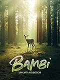  Bambi - Una vita nei boschi
