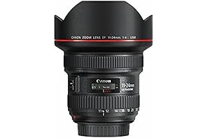 Canon EF 11-22mm f/4 USM Lens