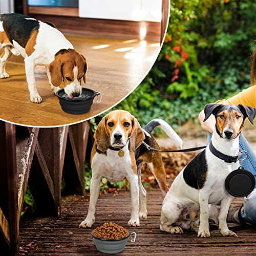Winsee Collapsible Dog Bowl, 2 Pack Small Collapsible Dog Water Bowls For Cats Dogs, Portable Pet Feeding Watering Dish For Walking Traveling With 2 Carabiners (15Oz, Black&Grey) #TOP7