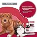 Alfavet Pulmo alfa, Doppelpack, Saft zur Unterstützung der Atemwege von Hund und Katze, Ergänzungsfuttermittel, 2 x 100ml mit Dosierspritze