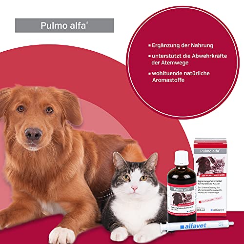 Alfavet Pulmo alfa, Saft zur Unterstützung der Atemwege von Hund und Katze, Ergänzungsfuttermittel, 100 ml mit Dosierspritze