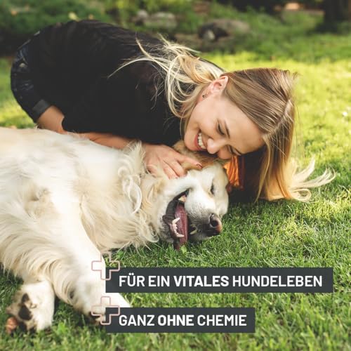 ReaVET Darm Prebiotic für Hunde 150g - Präbiotikum zur Unterstützung der Darmflora & Verdauung - Natürliche Darmkur bei sensibler Verdauung, Hund Darmflora aufbauen, Darmsanierung für alle Hunderassen