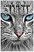 Produktbild Carnet de Notes - Chat. Broché et ligné- 100 pages - 13 X 22 CMS