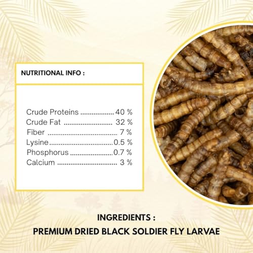 Image of Dried Black Soldier Fly Larvae Treat Fish Food(100 Gram) For Arowana Oscar, Flowerhorn & Other Carnivorous Fishes Omega 3 & 6, 50X Calcium Than Worms Pack Of 2, All Life Stages