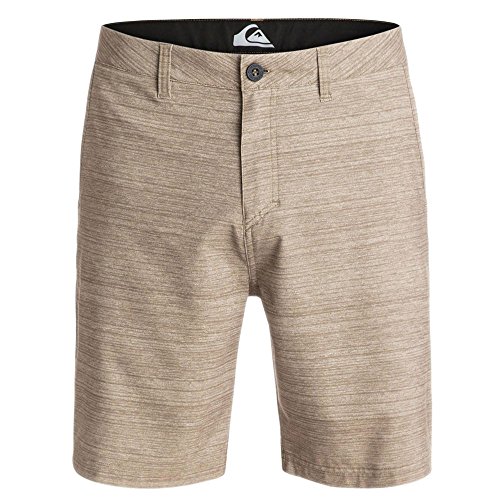 Quiksilver Men's Platypus Amphibian 20 Inch Hybrid Swim Short