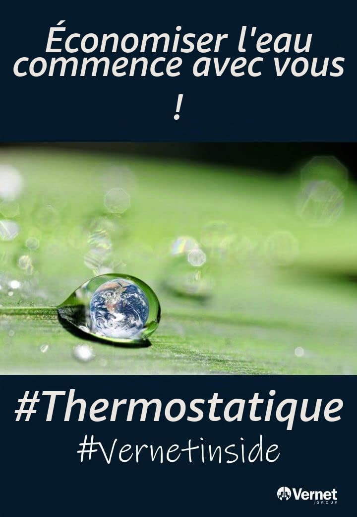Cartouche thermostatique Vernet VT30-001 - PDTH005