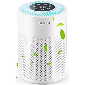 Air Purifier for Home Large Room, H13 True HEPA Air Purifiers for Pets, Up to 1722ft², with Night Light, Sleep Mode, 4 Speed for Allergies Dust Smoke Pollen Dander Hair Smell and Dog Odor