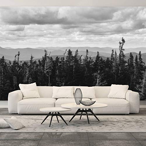 T-ShirtFrenzy White Mountains New Hampshire Canvas Print Wall Mural Wall Decal Peel & Stick Self-Adhesive Wall Sticker Large Removable Wallpaper Home Decor for Bedroom