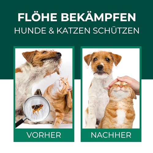 Silberkraft Flohmittel, Floh-Spray 500 ml - Flohspray für Hund, Katze und andere Haustiere - Umgebungsspray - ideales Anti-Floh-Mittel gegen Flöhe, Zecken, Parasiten, Ungeziefer