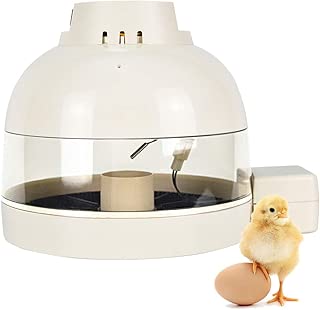 GOOD MOTHER Egg Incubator 10 Eggs Fahrenheit Mini Fully Automatic Incubator Small Poultry Hatcher for Chickens Ducks Goose Birds Quail Eggs (Fahrenheit) - coolthings.us