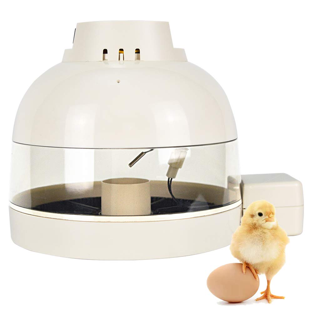 Buy Egg Incubator GOOD MOTHER Mini Fully Automatic Egg Incubator 10