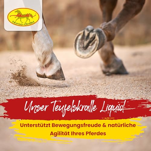 Scheidler horse-direkt Teufelskralle Liquid für Pferde 2500ml – Flüssiger Booster für mehr Bewegungsfreude – 100% Natürliches Ergänzungsfutter – Alternativ zu Teufelskralle Pulver/Pellets