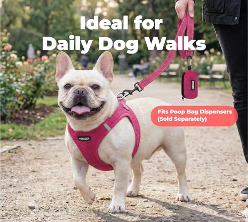 Image of Voyager Reflective Dog Leash with Neoprene Handle, 5ft Long, Supports Small, Medium, and Large Breed Puppies, Cute and Heavy Duty for Walking, Running, and Training - Fuchsia, S