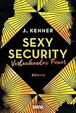 Verlockendes Feuer (Sexy Security 4): Roman (Stark Security, Band 4)