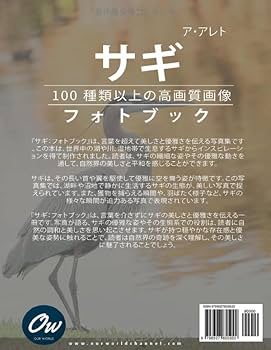 【シュリンク付き未開封】イ・ジュンギ photobook フォトブック 写真集 シュリンク付き未開封】イ・ジュンギ photobook フォトブック