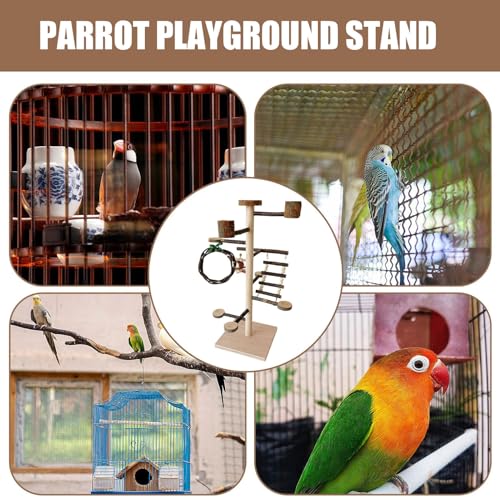 Accessoires de cage et support de jeu pour oiseaux : perchoirs pour perruches et calopsittes - 5
