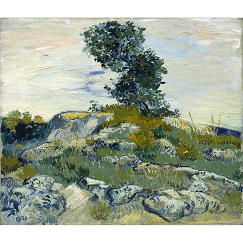 Impression giclée Van Gogh The Rocks 61x81 cm de haute qualité sur toile enroulée