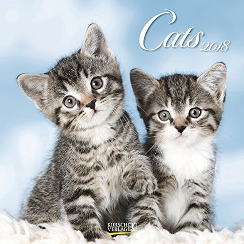 Cats 2018. Broschürenkalender: Broschürenkalender