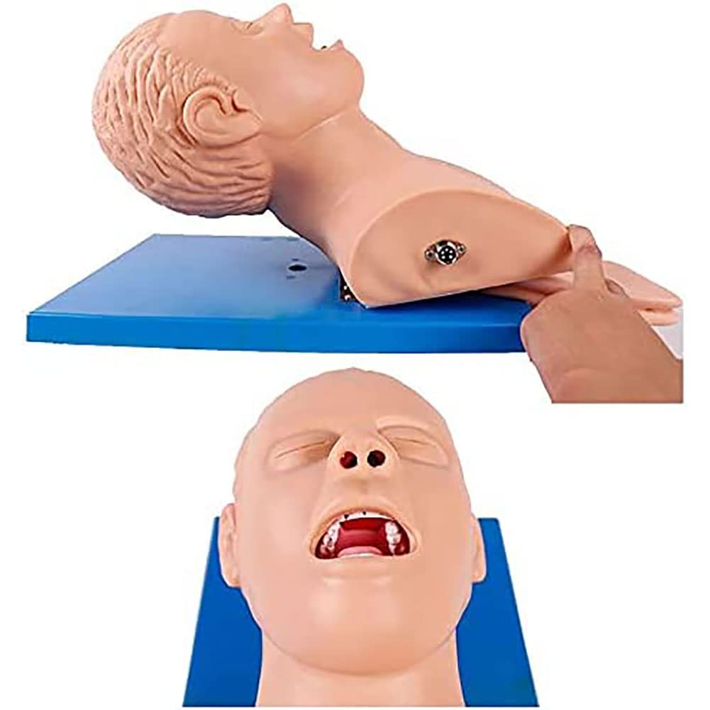 Intubation Manichin Simulator - Allenatore di gestione delle vie aeree per l'educazione medica - Modello di addestramento per l'intubazione tracheale con allarme