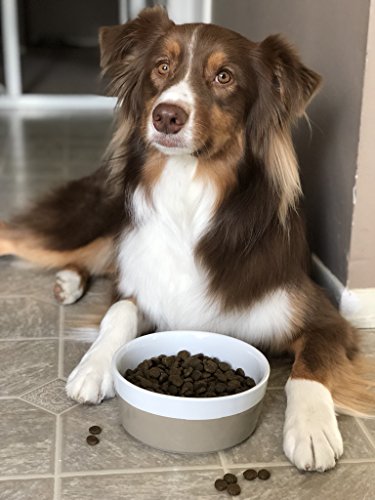 Waggo Dipper Ceramic Dog Bowl for Small and Large Breeds - Heavyweight and Durable Pet Food and Water Dish Crock, Dishwasher Safe, Modern (Vintage Grey, Large) - Image 6