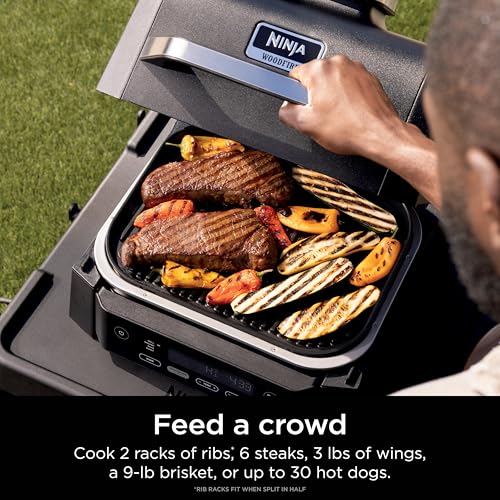 Ninja Woodfire Outdoor Grill & Smoker, 3-in-1 BBQ, Bake & Roast, OG301 - image 7