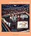 We Flew over the Bridge: The Memoirs of Faith Ringgold