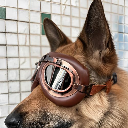 FOSDICK 1Pcs Retro Hundebrille, Brille Hund UV-Schutz, Winddicht Hunde Brille, Sonnenbrille Hund mit Verstellbare Riemen, Hundesonnenbrille für Mittel Große Hunde, zum Autofahren,Outdoor-Aktivitäten