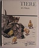 Junior International